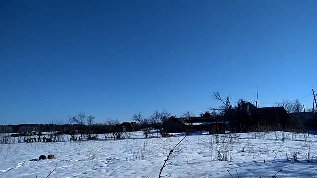 Яркое солнце и пение птиц