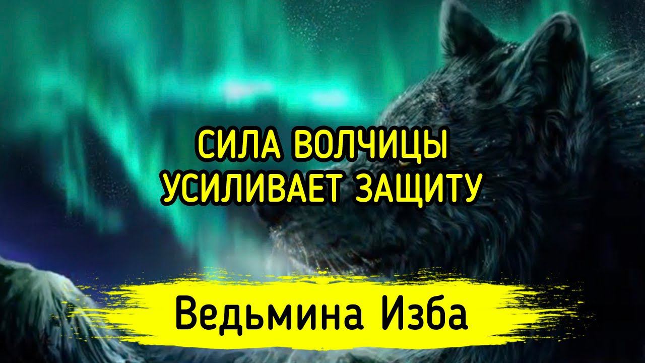 СИЛА ВОЛЧИЦЫ. УСИЛИВАЕТ ЗАЩИТУ. ПРОСТО СЛУШАТЬ ИЛИ ЧИТАТЬ. ВЕДЬМИНА ИЗБА ▶️ МАГИЯ