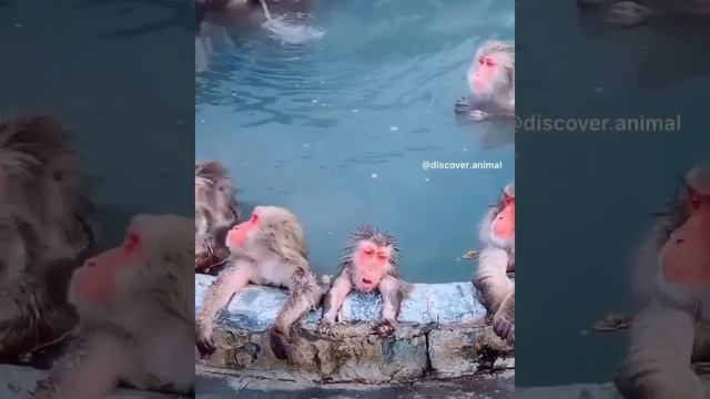 спа салон