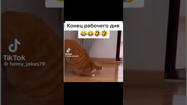 хехе