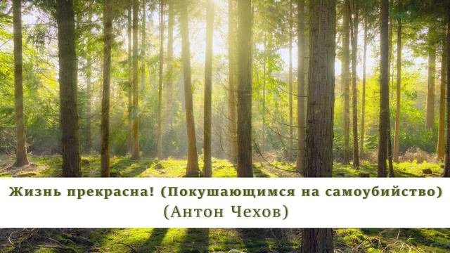 Жизнь прекрасна | Покушающимся на самоубийство | Антон Чехов |Аудиорассказ | Классическая литератур