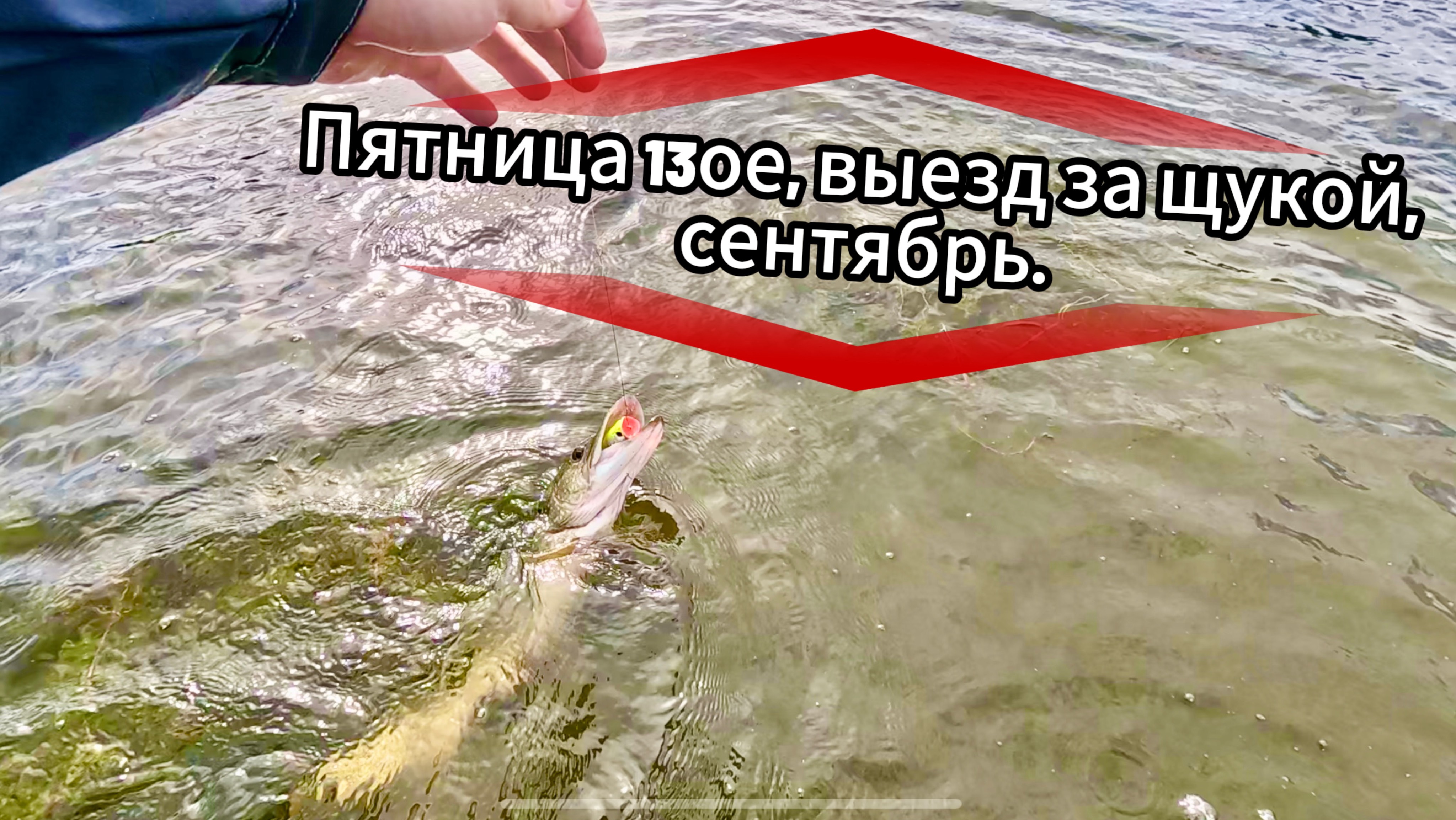 Ловля щуки в сентябре на Поппер. Пятница 13. Рыбалка возле дома.