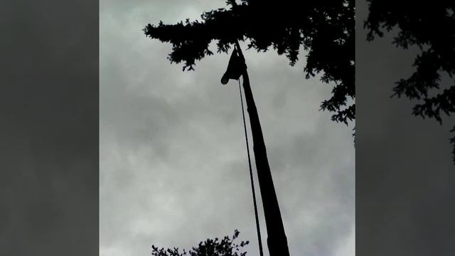 Блог с дачи 1 серия