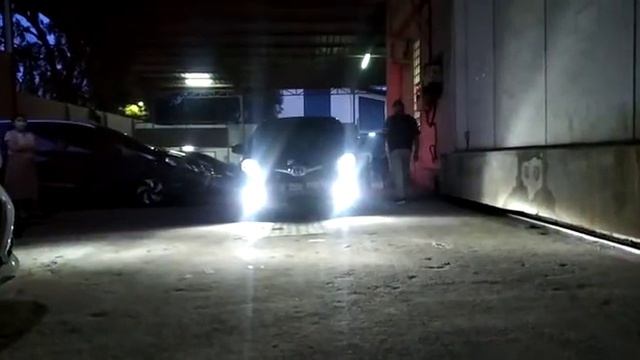 Dual Color Fog Lamp Philips Gen 2. H8/H11/H16, 2500K/6500K
