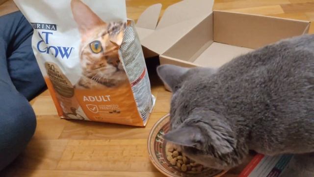 Сухой корм для взрослых кошек Purina Cat Chow Adult с уткой - лучший корм