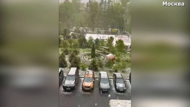 Снег-в-Москве-сегодня-ураганный-ветер-валит деревья на провода