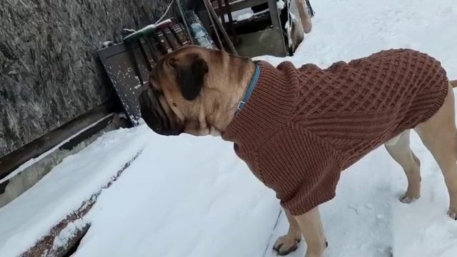 Видеоотзыв от довольного клиента