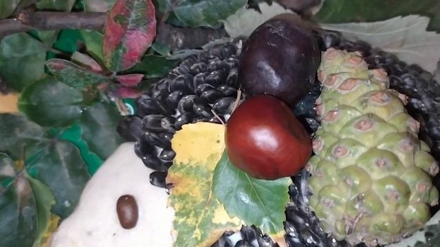 вот какой ёжик получился!