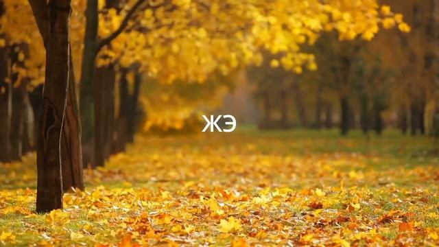 Как научиться говорить Р