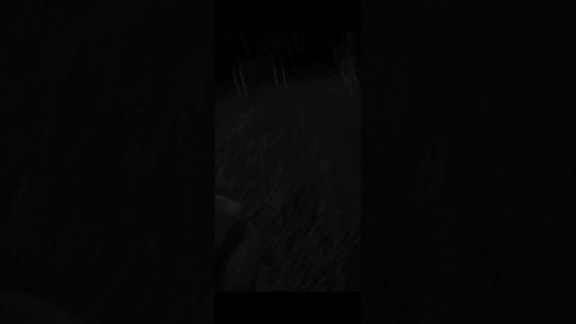 Страна гавна 2/5 пьяным городом владеет петя