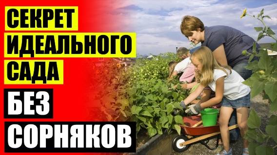 ⚫ Как избавиться от мяты в огороде навсегда 🎯 Как вывести сорняки на участке народными средствами