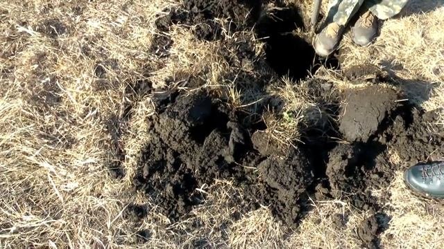 НАХОДКИ ЗА 400 ЛЕТ! ОТ ЧЕШУИ И ДО СОВЕТОВ!