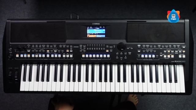 Astronomia (Coffin Dance) - Keyboard Cover on Yamaha SX600