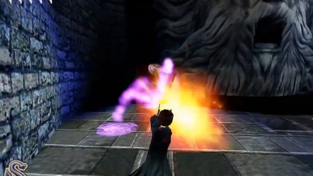 let's remember harry potter and the chamber of secrets part 28