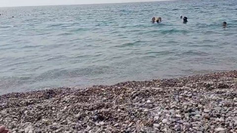 ДА ЗДРАВСТВУЕТ НАШ ЛЮБИМЫЙ ПЛЯЖ!СКАЗОЧНЫЙ ЦВЕТ АВТО!ЗАЙДЕМ ЗА ПОКУПКАМИ)ЦЕНА БИЛЕТА НА КИРКОРОВА )