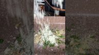 Быстрая картошка в духовке ?