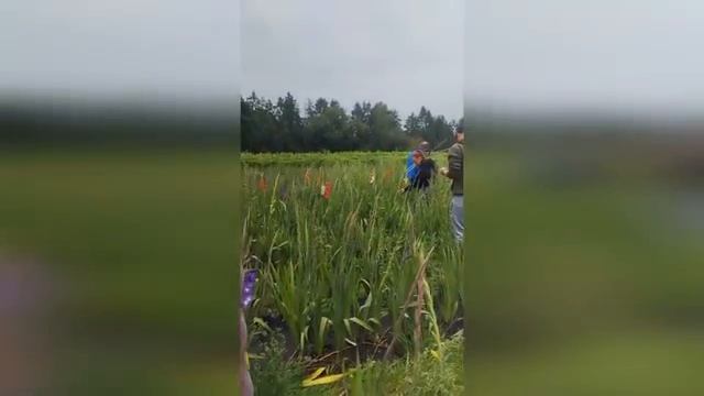 Цветы продаются сами, доход идет, а ты на это не отвлекаешься. Весь процесс в действии.