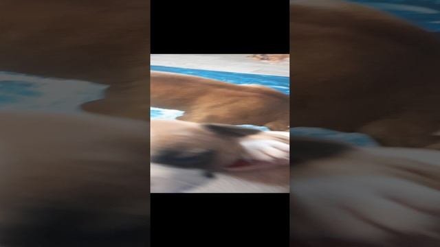 20240111_121758.mp4