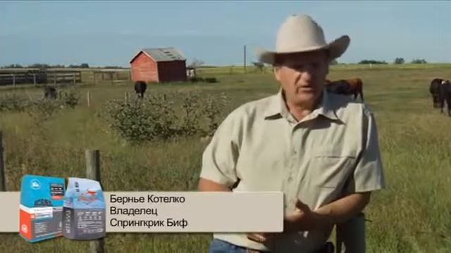 Биологически соответствующие корма Акана и Ориджен
