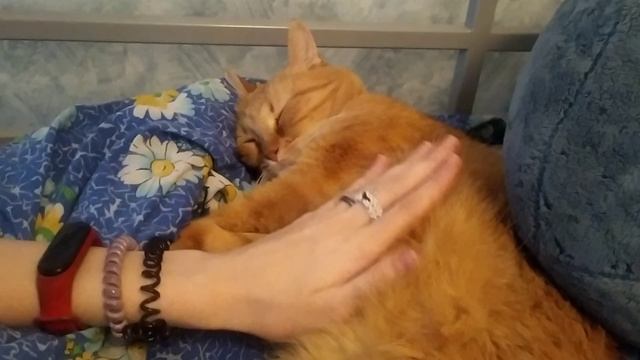 Маха и Кысс