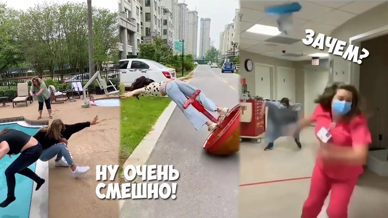 Самые смешные видеоприколы. Лучшая подборка из лучших. Смешные пранки и классные животные.