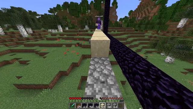 1027 Shulkers VS Minecraft SMP To Get REVENGE