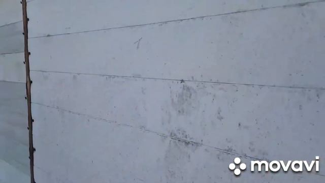 Пробное видео. Объём работы по разбору хлама на даче.