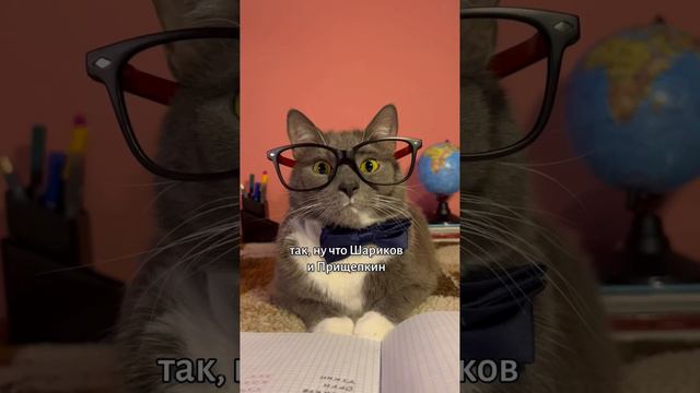 Новые ученики! #смешно-котики