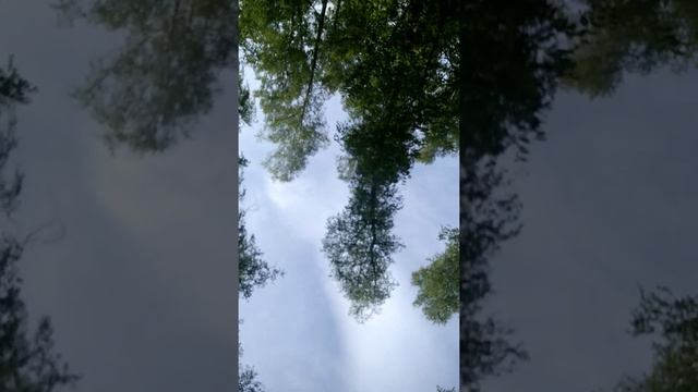 Работа с токсичным человеком. Хоопонопоно.