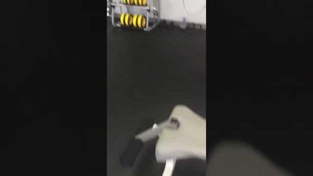 Excelsior gym