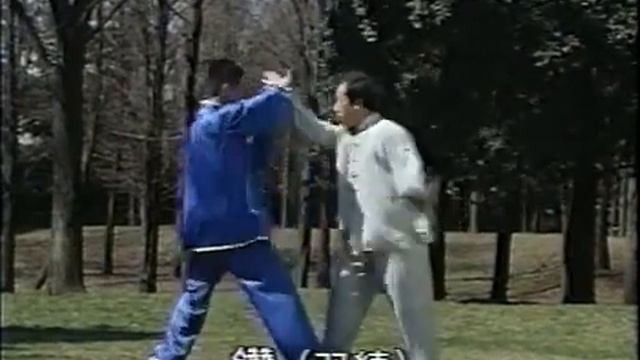 Мастер Фэн Чжэнбао Плавающий Дракон Багуачжан / Master Feng Zheng Bao Swimming Dragon Baguazhang