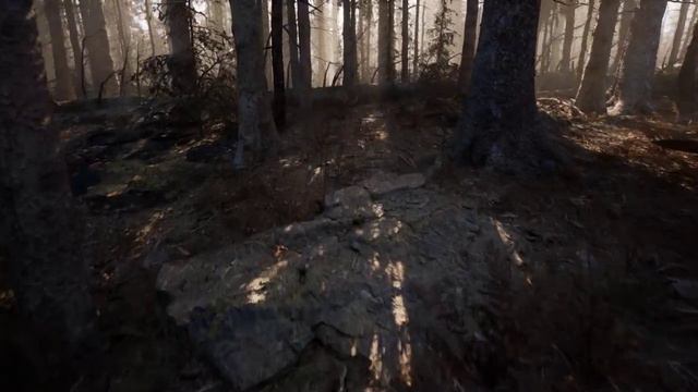 Unreal Engine 5.3 - MAWI - Next Level Realistic Realtime Forest #unrealengine #UE5 #gamedev