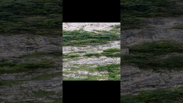 Черекское ущелье, верхняя Балкария, старая колесная дорога.
