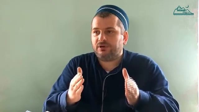 О бороде