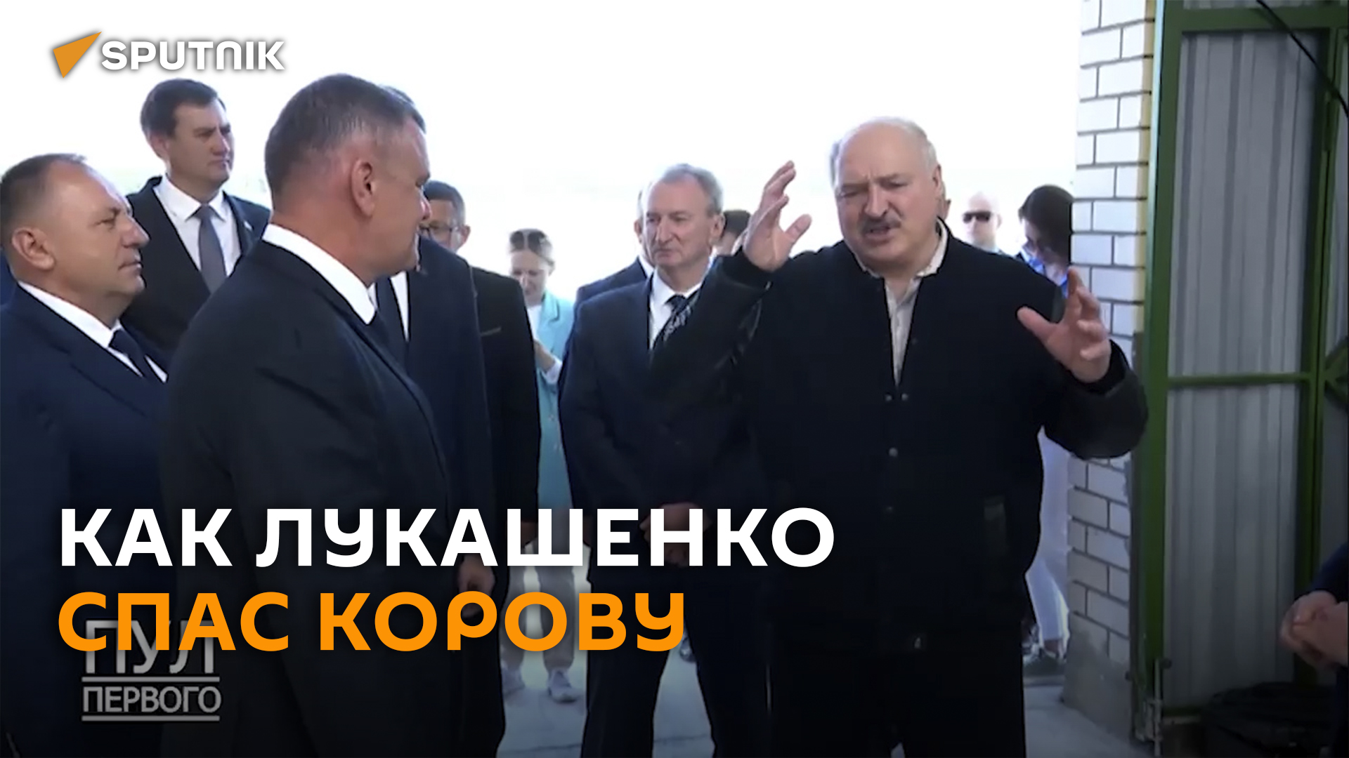 Лукашенко рассказал, как спас корову