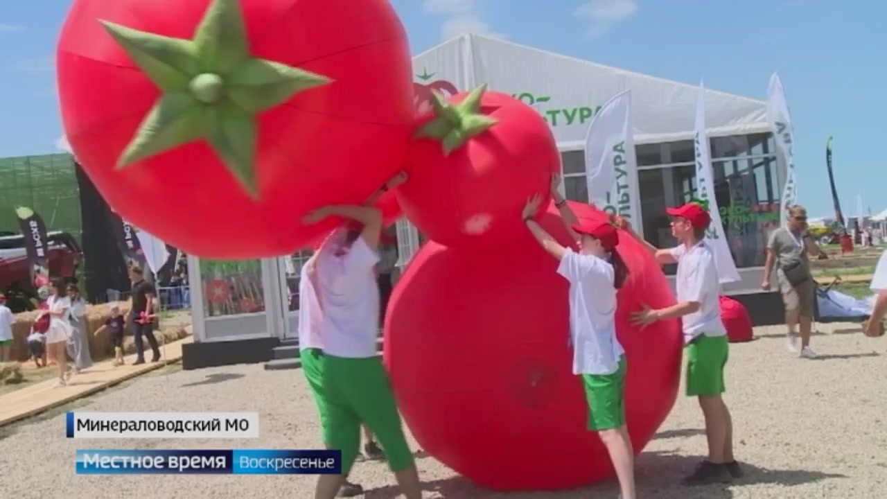 Фестиваль томатов прошел на Ставрополье