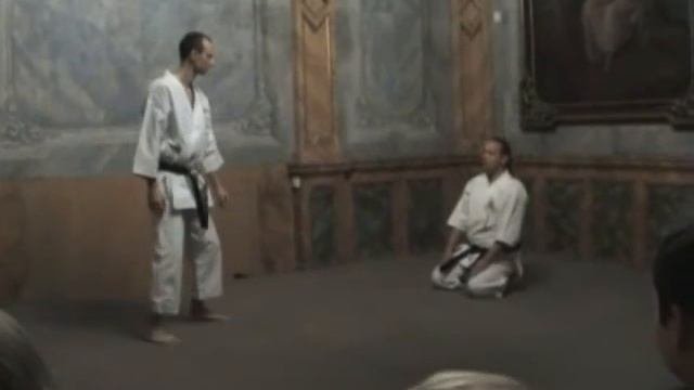 Shotokan Karate Kumite,Vladimir Budin, Kamil Prask