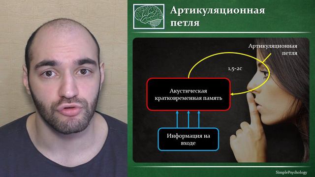 Когнитивная психология памяти 46. Удержание информации в кратковременной памяти по Баддели