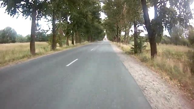 Назад в будущее Kugoo M4 народный дешевый удобный..mp4