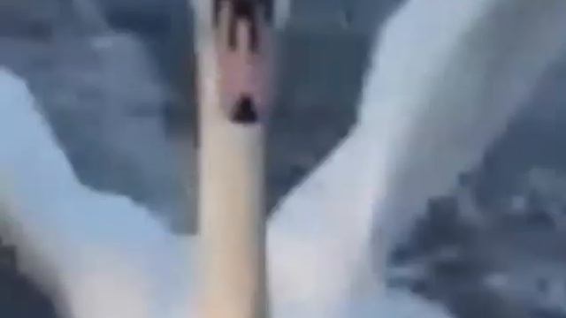 Лебедь белая. 3 минуты.