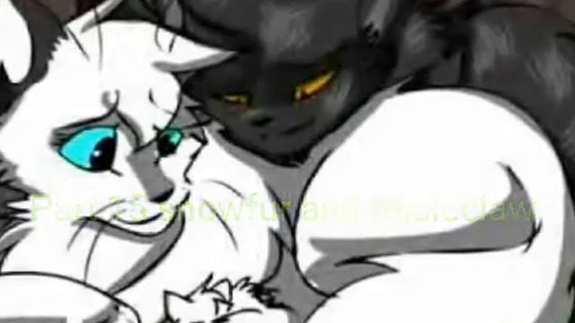 Warrior cats couples MAP (closed) backups needed