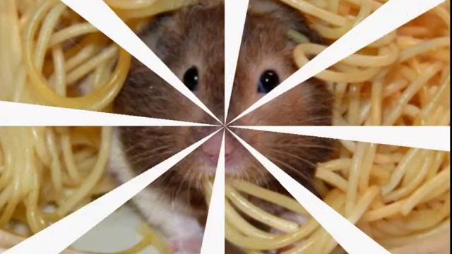 Привет, Дружище!.mp4