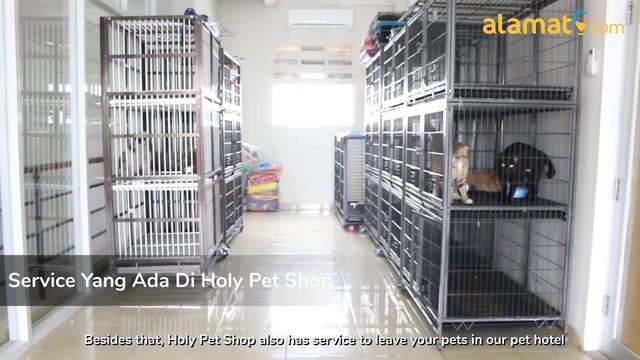 Holy Pet Shop, Toko Hewan Penuh Cinta