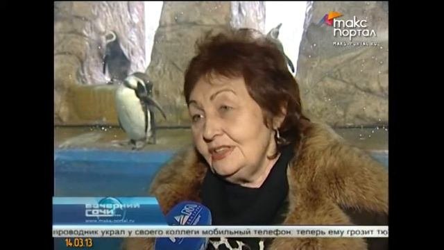 Сочинские пингвины обзавелись потомством