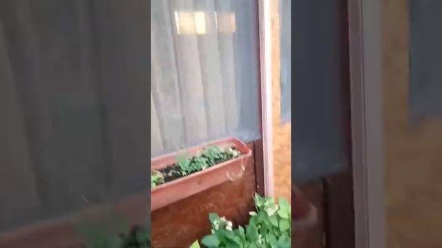 Беседка, бильярд, кухня в УСАДЬБе