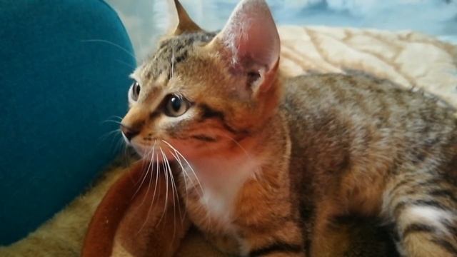 ?#Ейск ! Сюжеты разных дней и коррекция бровей !