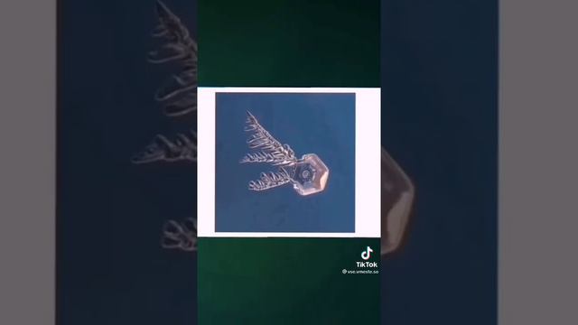 Почему кровь себя так ведёт?