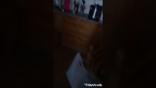 😵😵😵Прогулка по дому