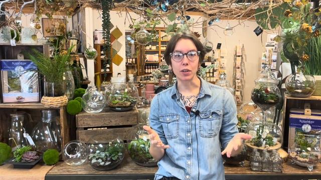 How to Make a Terrarium | Terrarium Care | Open Terrariums | Plants for Terrariums