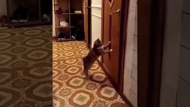 ????